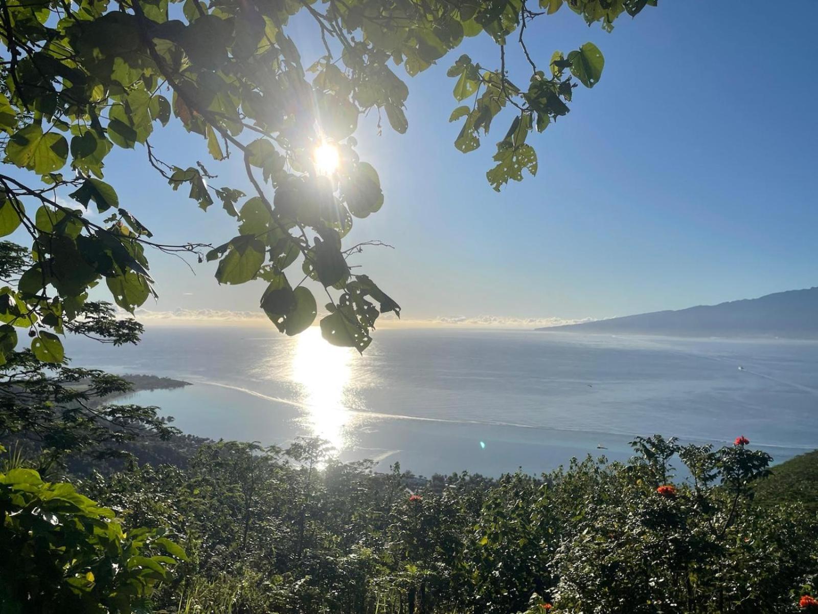 Haere Mai I Te Fare Hotell Teavaro Exteriör bild